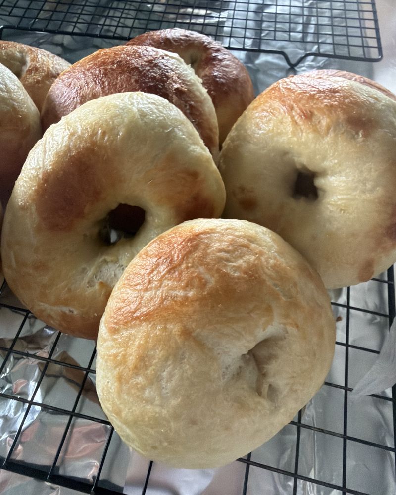 Golden hand-rolled sourdough bagels on a cooling rack
