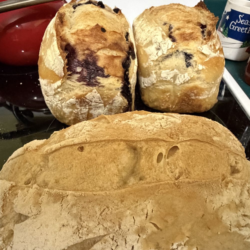Three crusty sourdough loaves, one dusted with flour, cooling on a rack